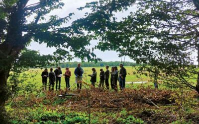 Redonner sens aux lisières : une étude paysagère pour la forêt de Retz