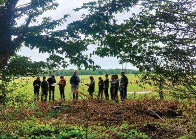 Redonner sens aux lisières : une étude paysagère pour la forêt de Retz