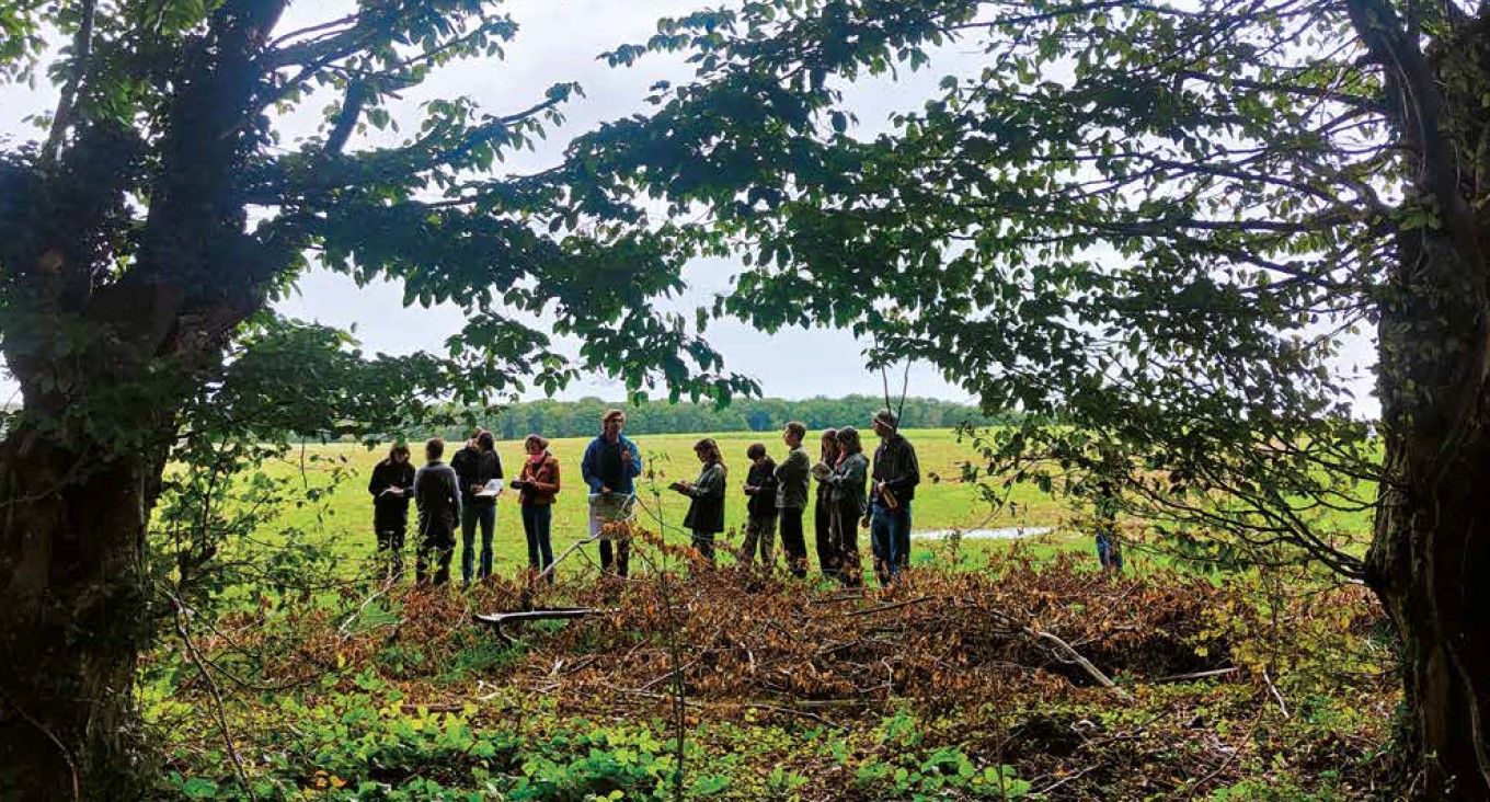 Redonner sens aux lisières : une étude paysagère pour la forêt de Retz