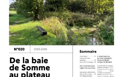 Journal de l’atelier public de paysage n°20
